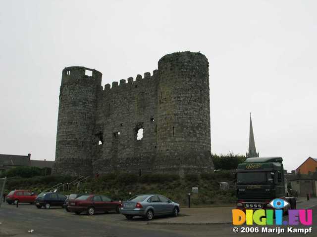 18994 Carlow Castle